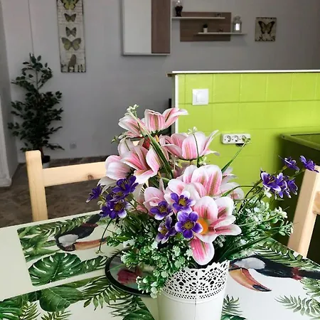 Apartamento El Sonador